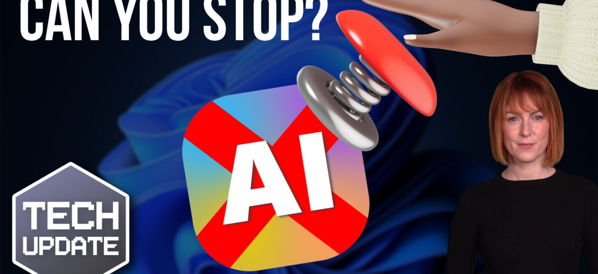 How would you stop AI in an emergency?